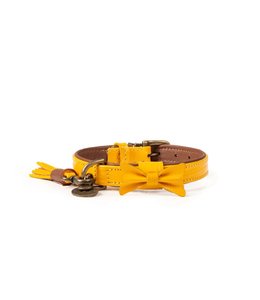 Dog with a Mission Bibi collar