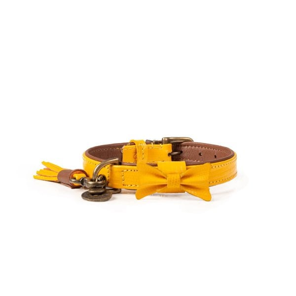 Dog with a Mission Bibi halsband