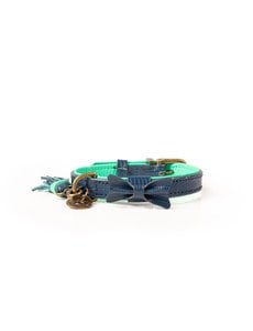 Dog with a Mission Buster halsband