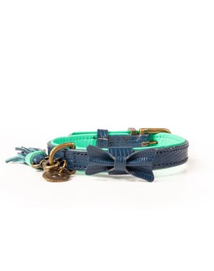 Dog with a Mission buster collar