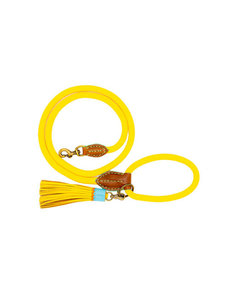 Dog with a Mission Sunny Dog Leash