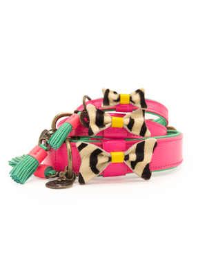 Dog with a Mission Blossom Halsband