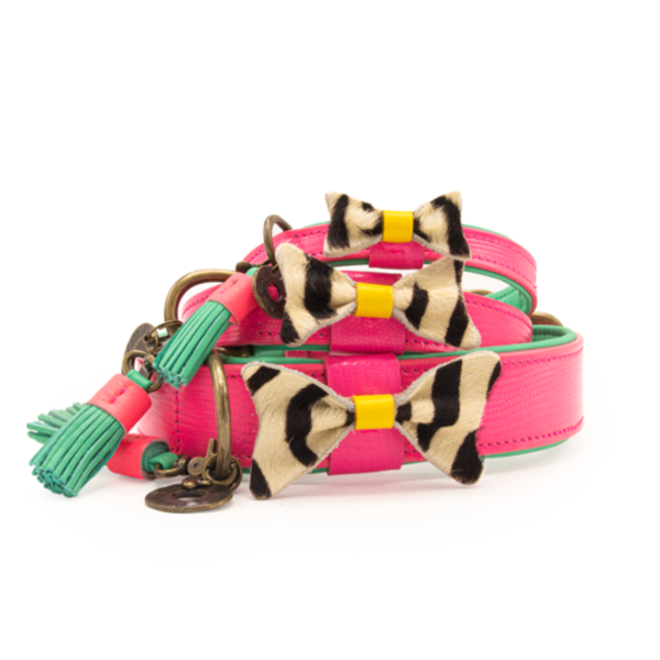 Dog with a Mission Blossom Collier