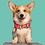 Dog with a Mission Blossom Collier
