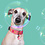 Dog with a Mission Gypsy Rose Collier
