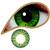 Mesmereyez 1 DAY PERSIAN GREEN