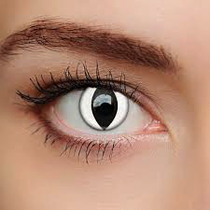 DAILY CRAZY - White Cat eye accessories