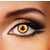Funky Cosmetic DAILY WOLF eye accessories