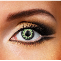 DAILY COLOUR - Persian Green  Eye accessories