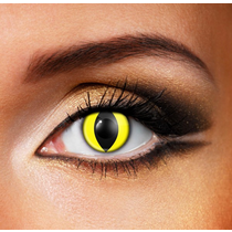 YELLOW CAT Eye accessories DAILY