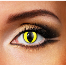 YELLOW CAT Eye accessories DAILY