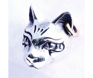 30+ Egyptian cat ear piercing cat pics, cats, cute cats