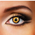 Funky Cosmetic MOVIE -  Bella Eye accessories 3 MONTH