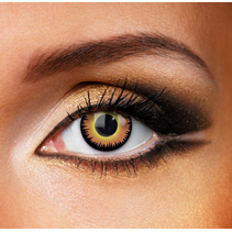 CV CRAZY - Orange Werewolf Eye accessories 12 MONTH / 1 YEAR