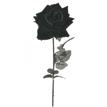 SILK SINGLE VELVET OPEN ROSE BLACK