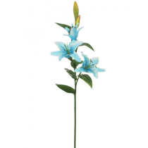 LILY LARGE 3 HEAD PALE BLUE