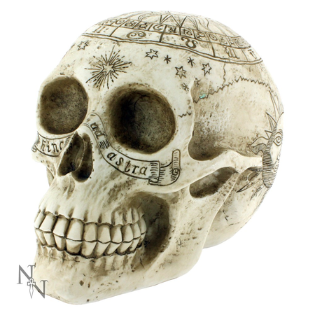 NEMESIS Astrological Skull 20cm