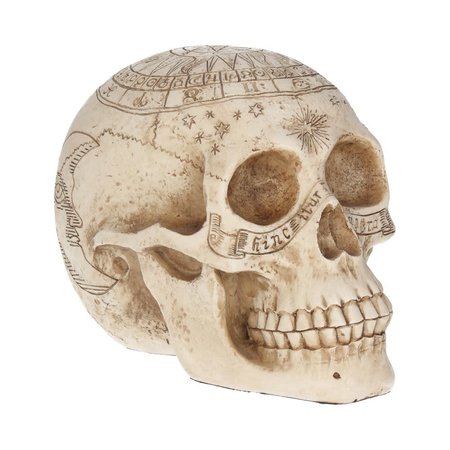 NEMESIS Astrological Skull 20cm