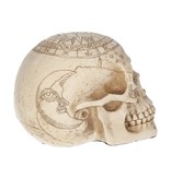 NEMESIS Astrological Skull 20cm