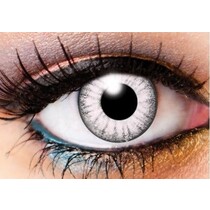 ELECTRO WHITE CONTACTS 1 DAY