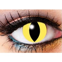 CATS EYE CONTACTS 1 DAY