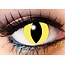 CATS EYE CONTACTS 1 DAY