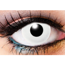 SOLID TONE WHITE CONTACTS 90 DAYS