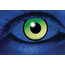UV GREEN CONTACTS 90 DAYS