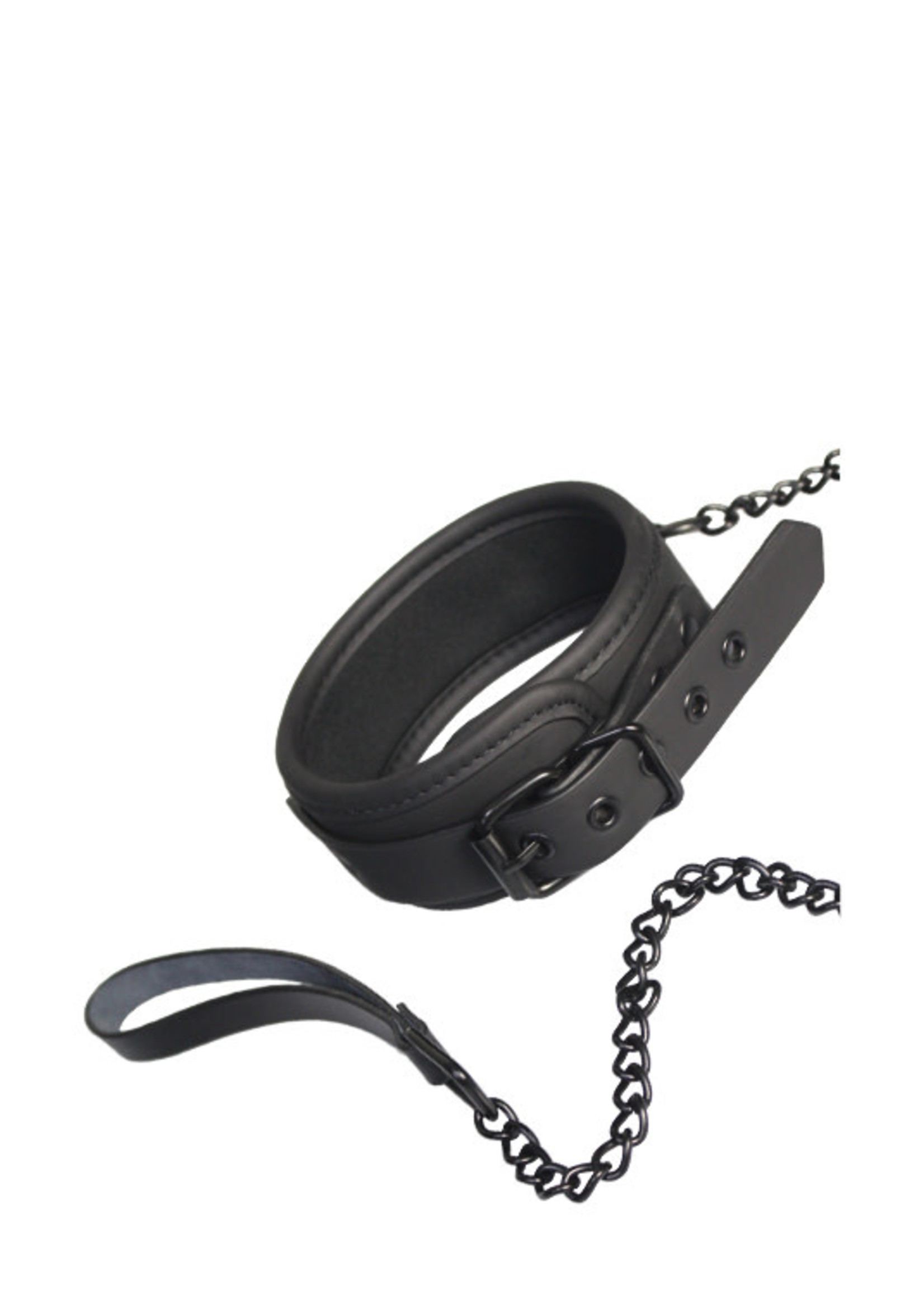 Blaze Blaze collar and leash