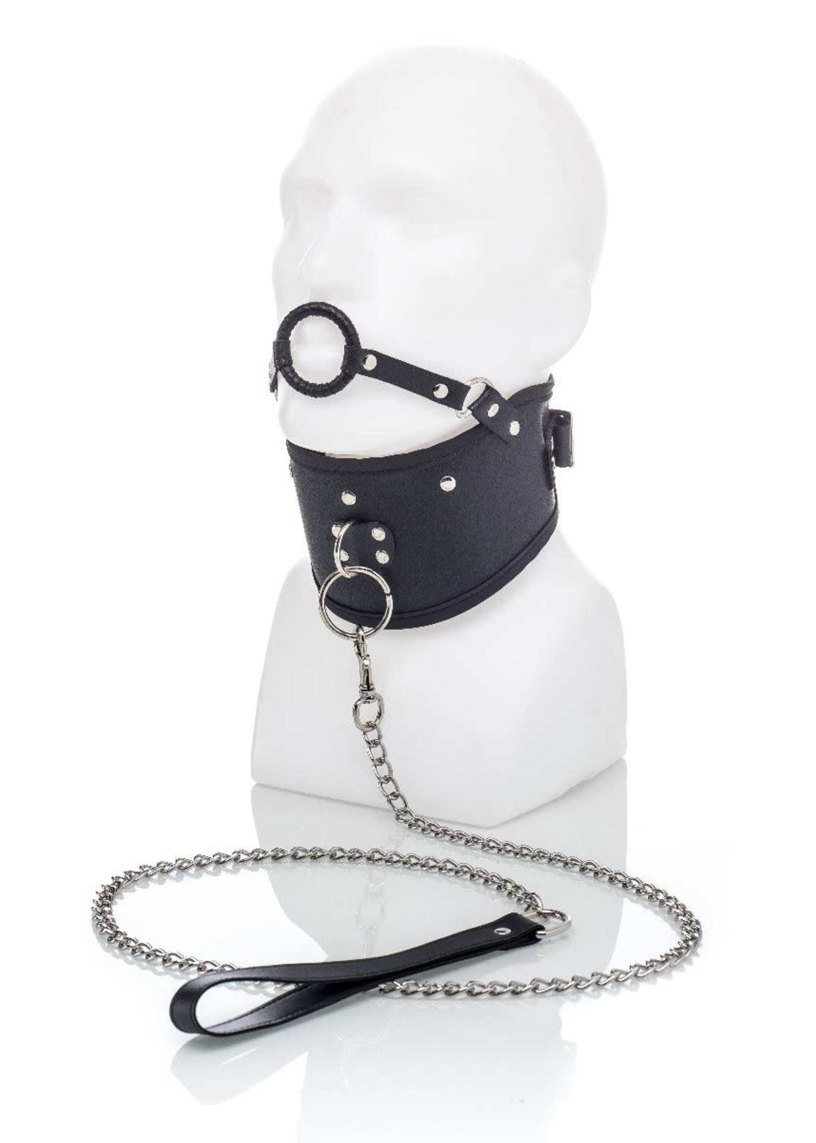 ZennToys Collar with leash and mouthgag