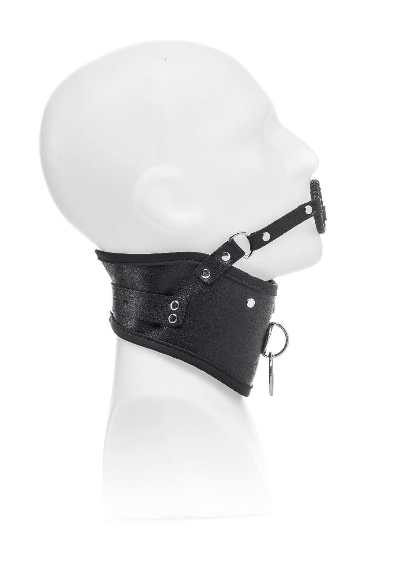 ZennToys Collar with leash and mouthgag