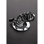 Spiked chastity cage