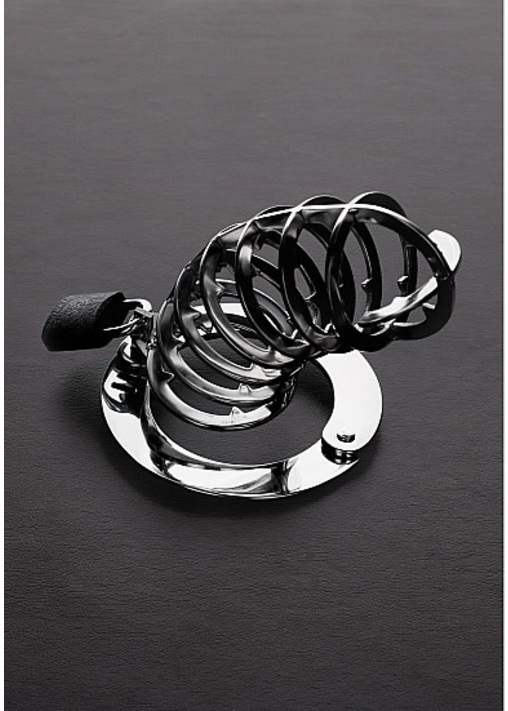 Spiked chastity cage