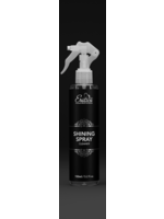 Erotica Glijmiddel Erotica shining spray - 150 ml