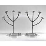 Dusedo Steel Finger Claws 2 stuks