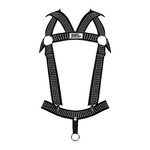 Male power Elastic studded harness - Black - OneSize