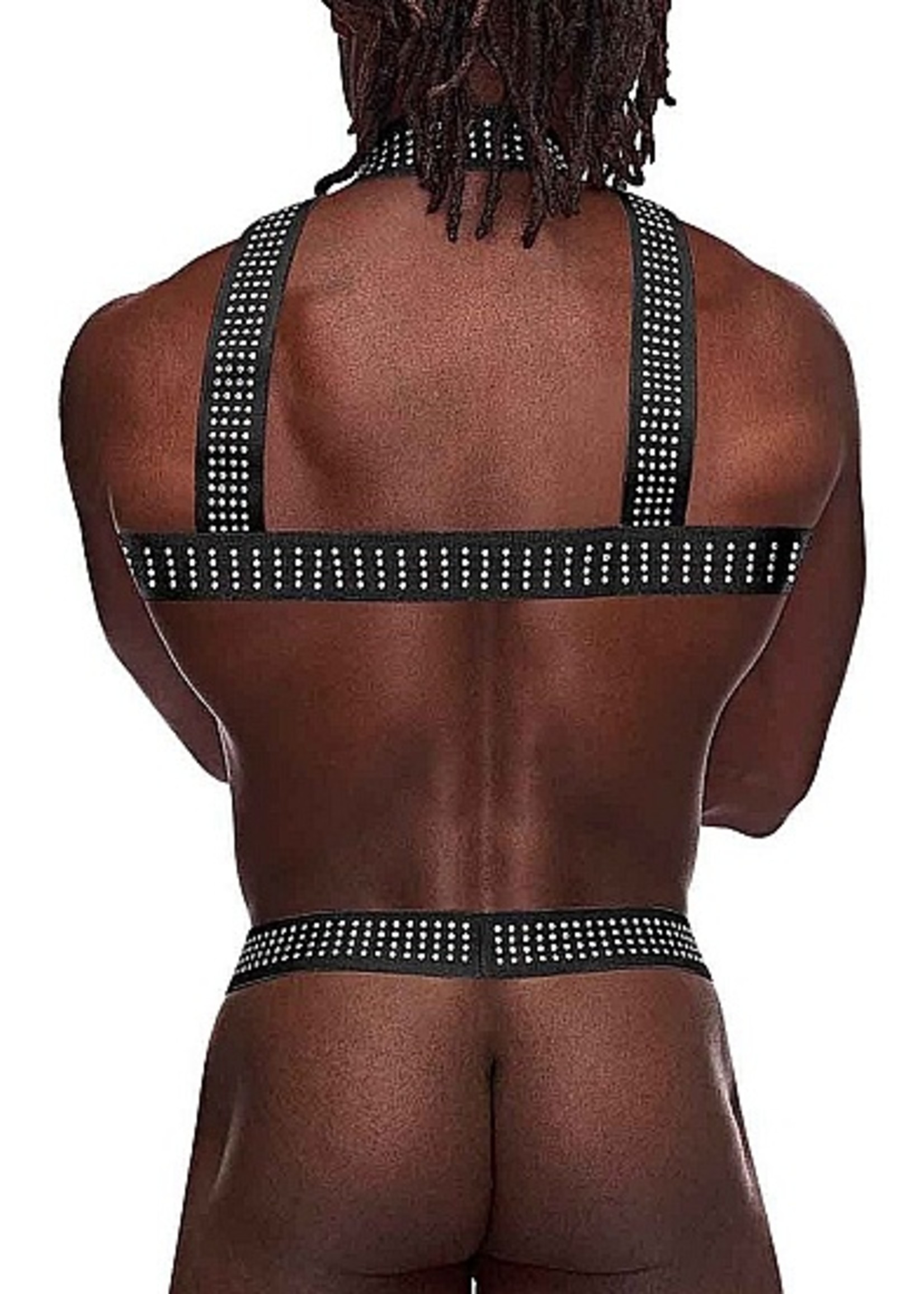 Male power Elastic studded harness - Black - OneSize