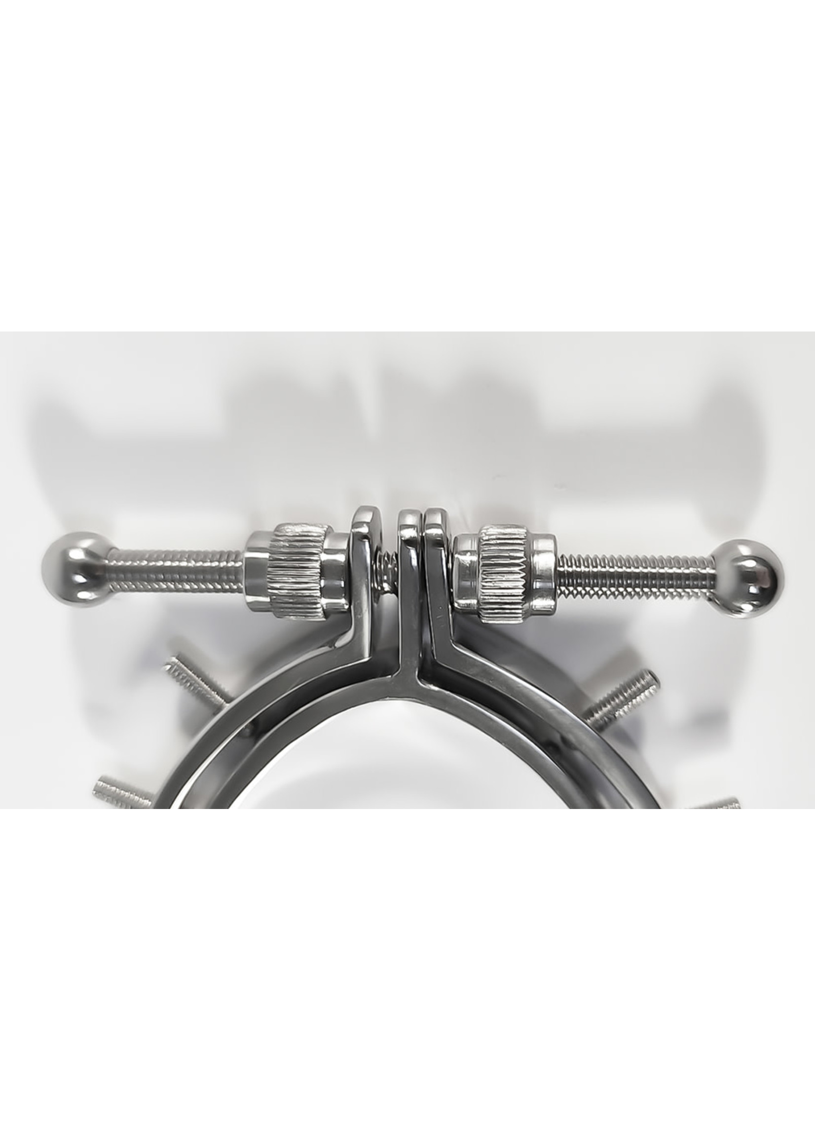 Dusedo Pussy clamp with spikes stainless steel 55 mm hole