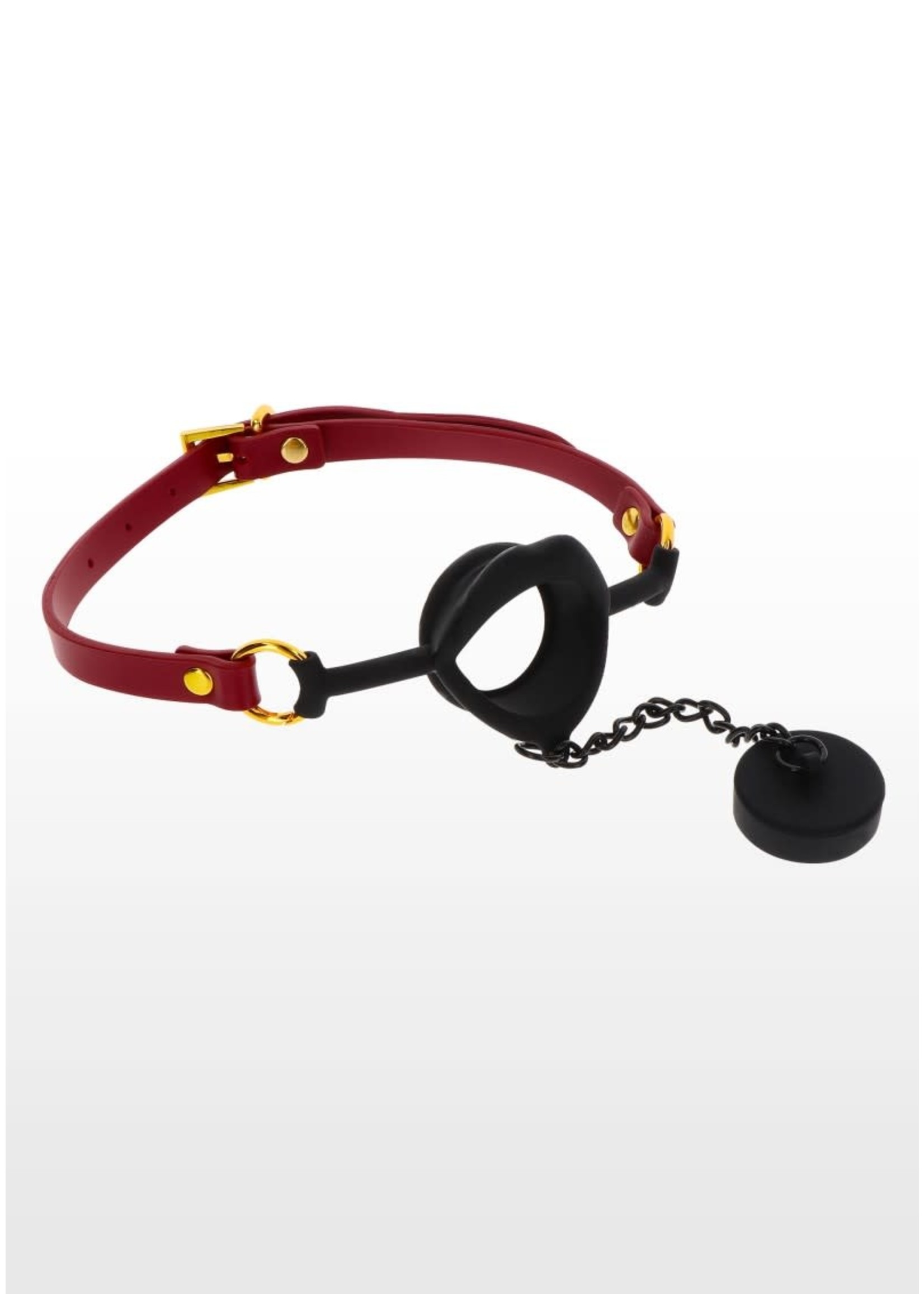 Taboom Kinky gag with plug