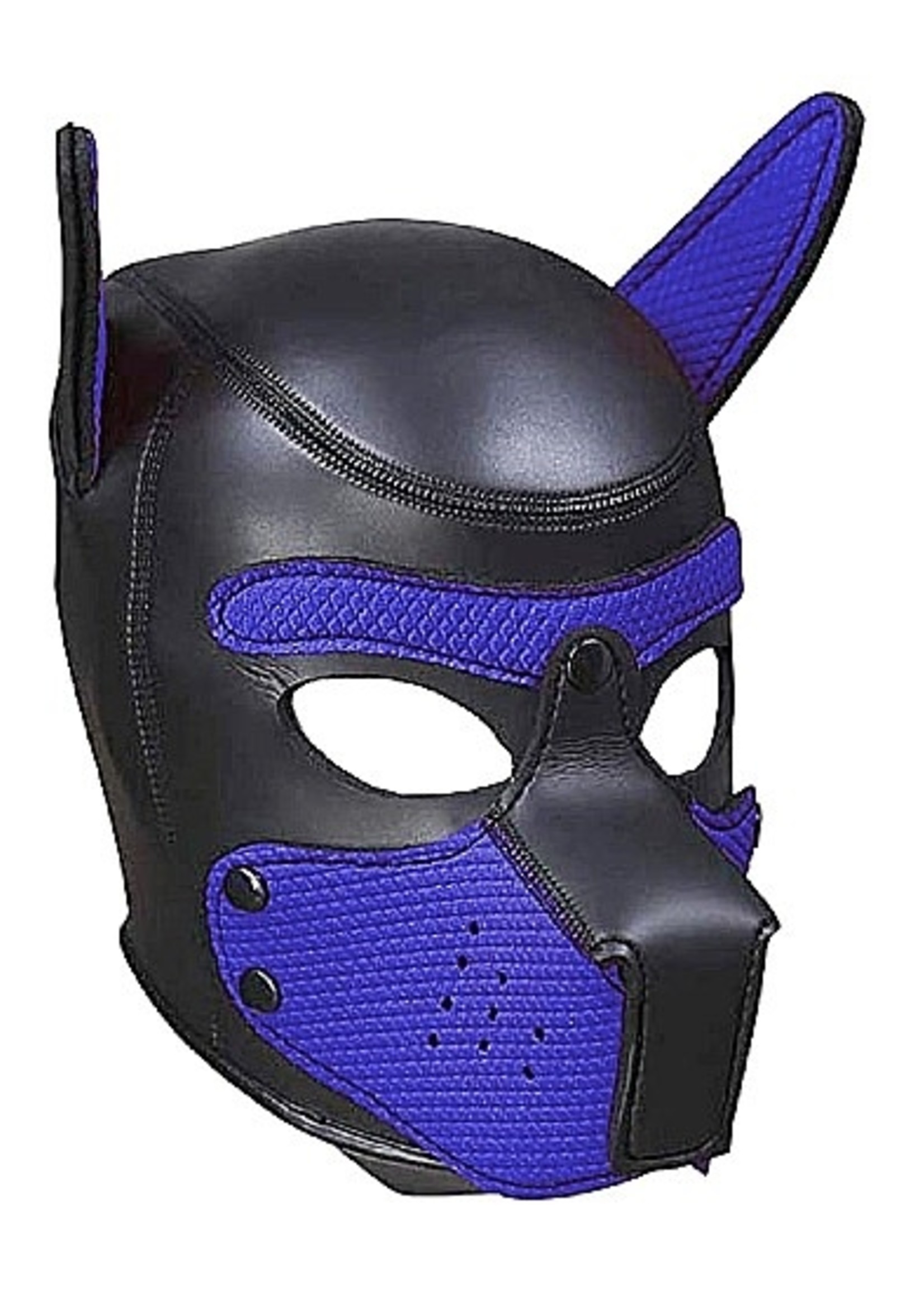 Ouch! Neopreen puppy kit - L/XL - blue