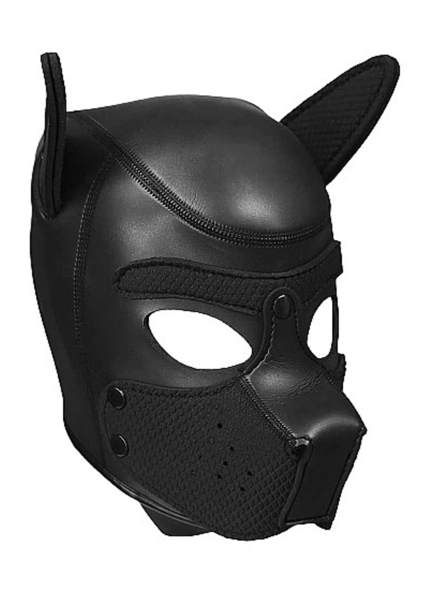 Ouch! Neopreen puppy kit - L/XL - black