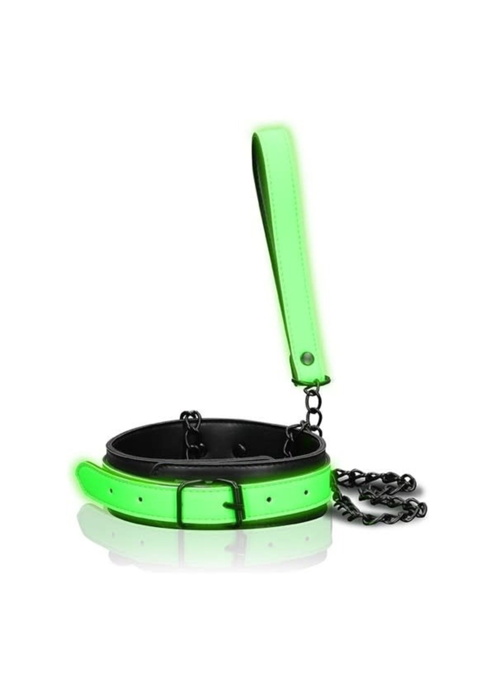 Ouch! Glow in the dark leather collar and leash