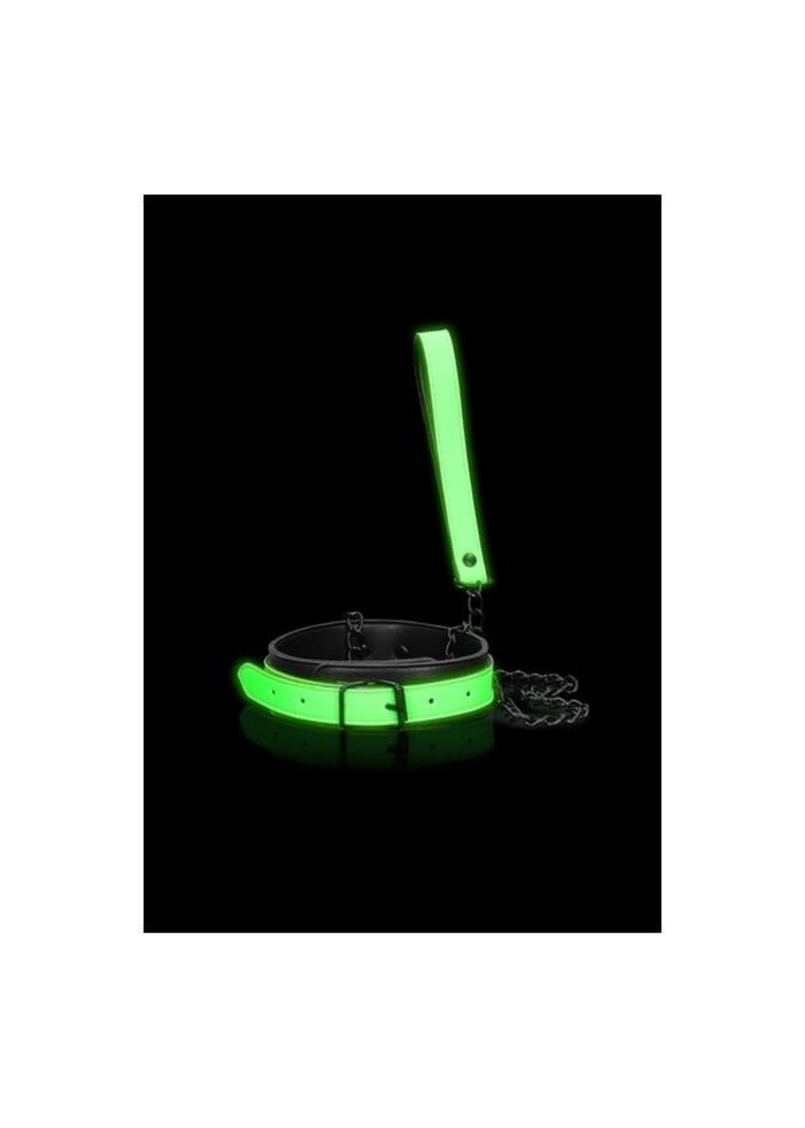 Ouch! Glow in the dark leather collar and leash