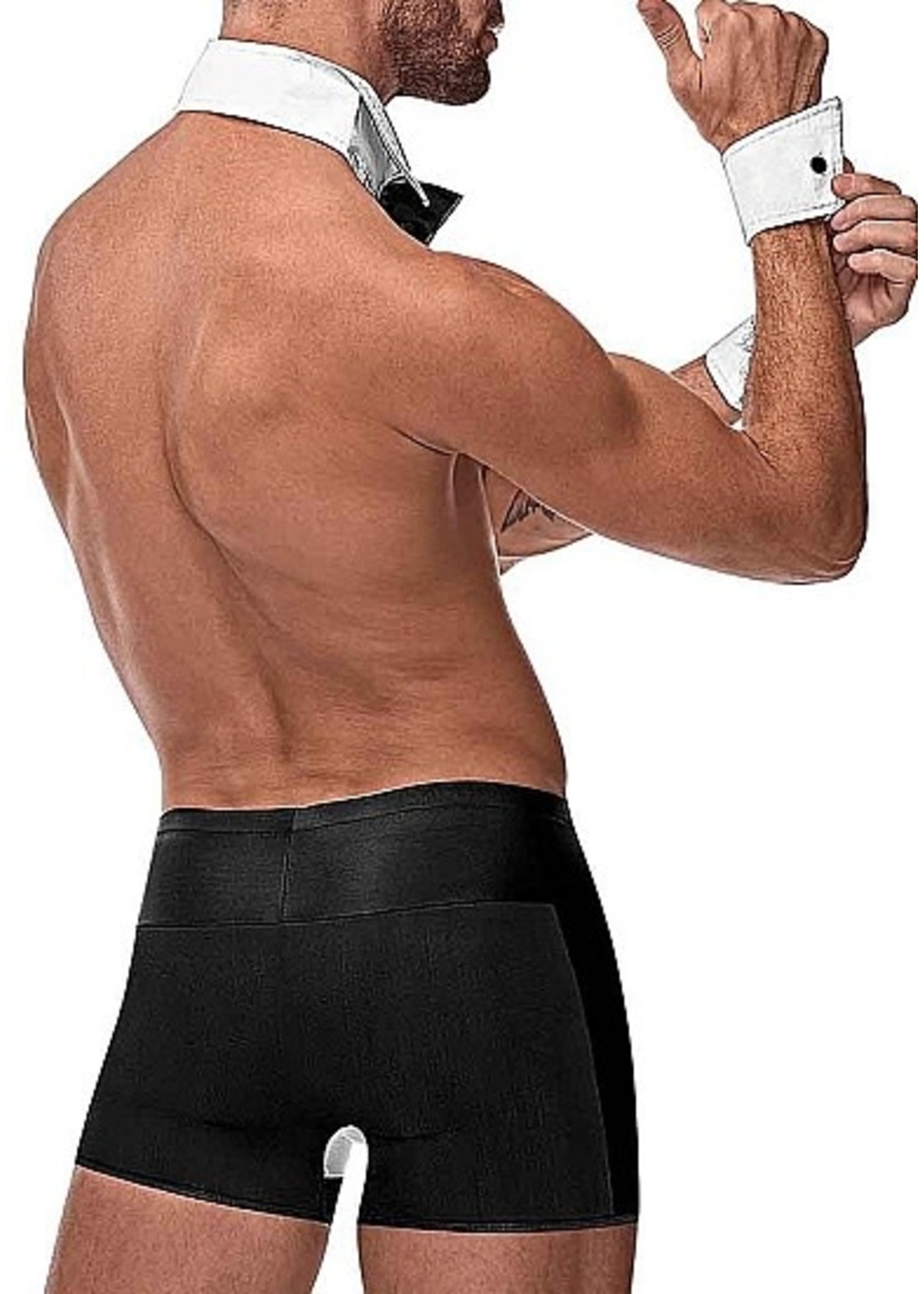 Male power Butt-Ler kostuum omdat