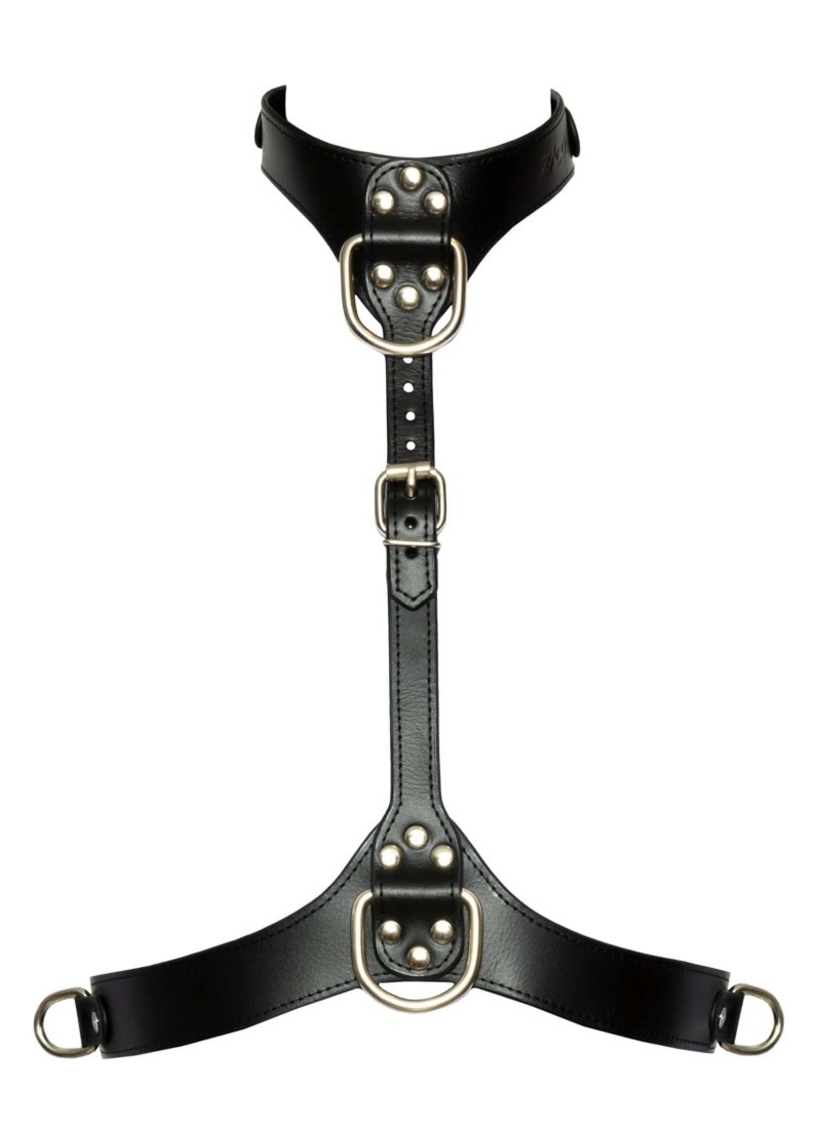 Bad Kitty Chest harness