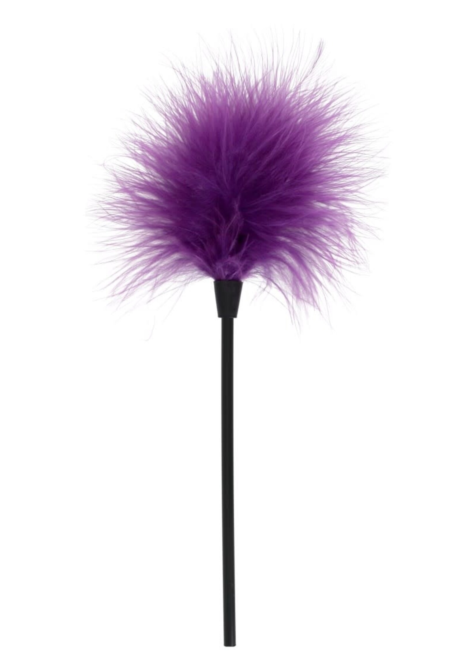 ToyJoy Sexy feather tickler - purple
