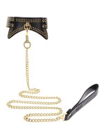 Taboom Studded collar and leash