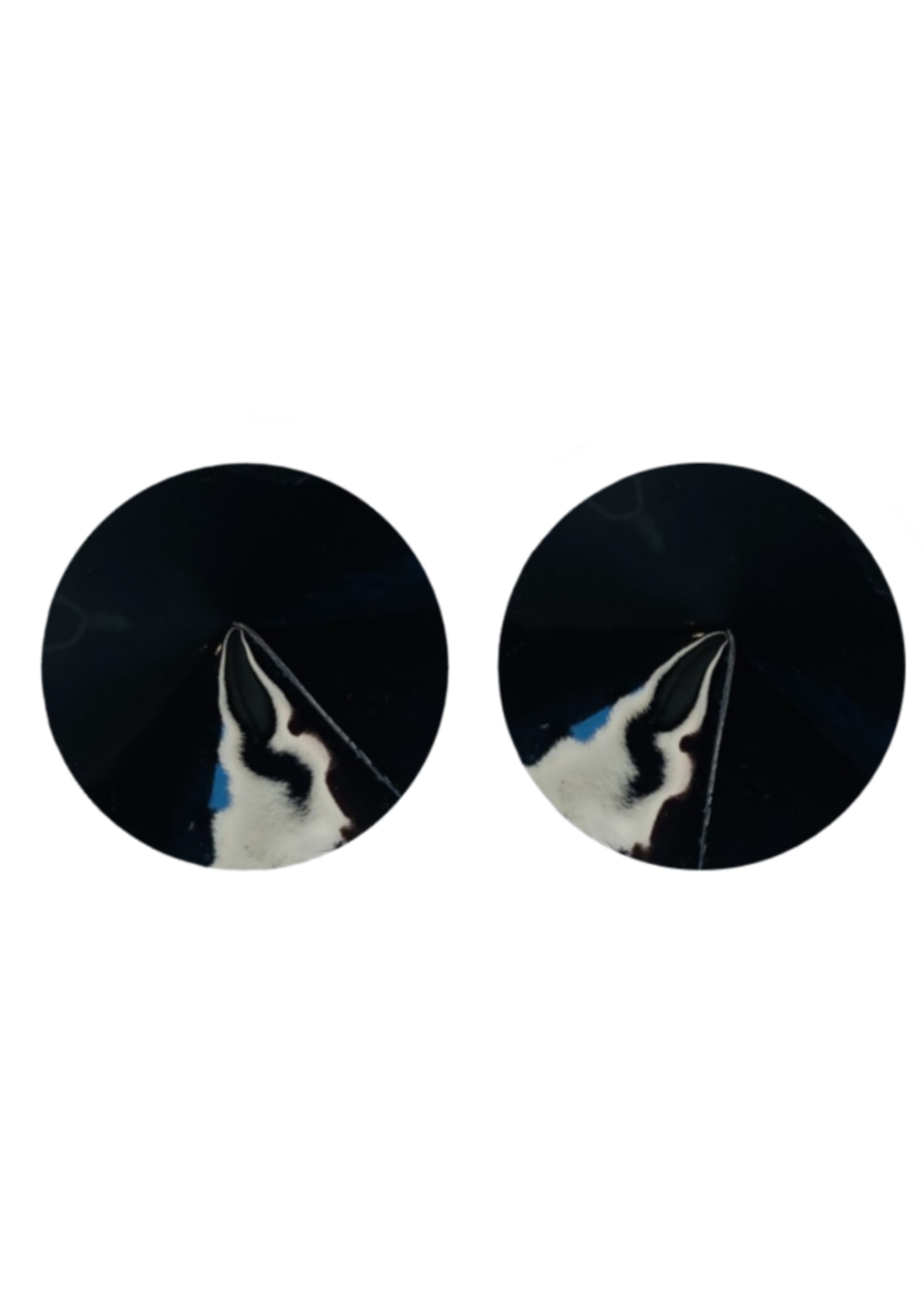 Kinky Diva Vinyl high gloss tepel stickers - zwart