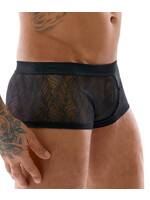 Svenjoyment Transparent lace pants