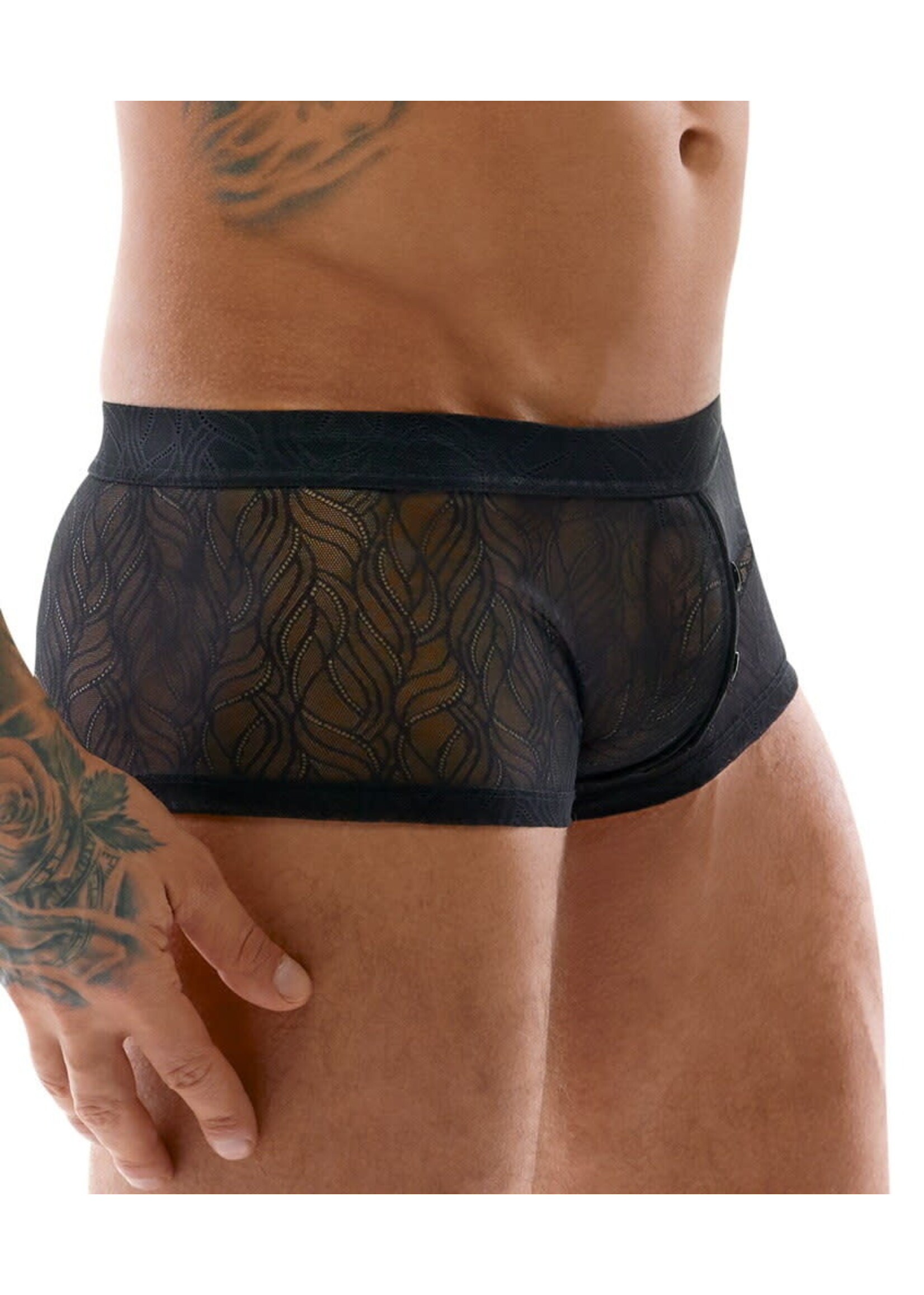 Svenjoyment Transparent lace pants